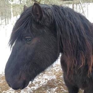 Meet your Posher, Dk